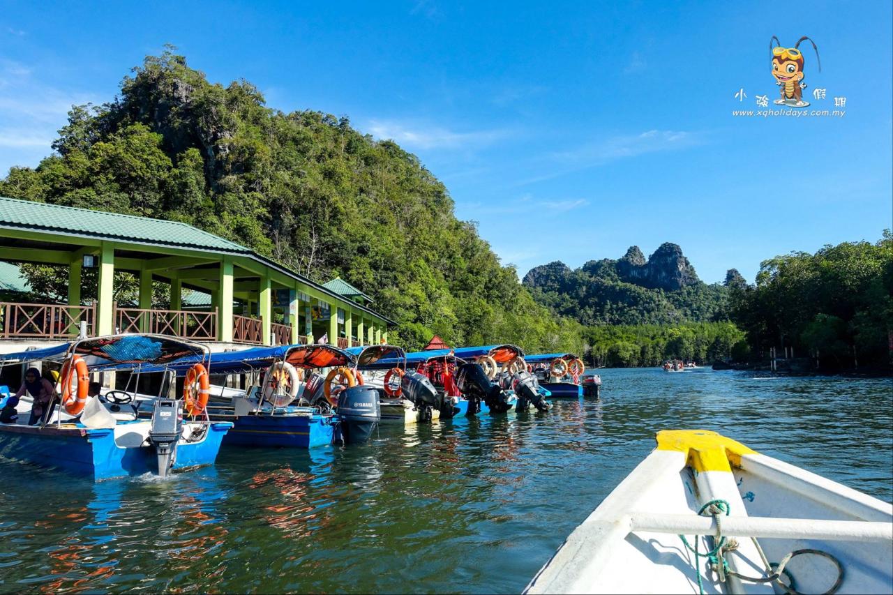 Jelajahi Ekosistem Mangrove Langkawi yang Menakjubkan