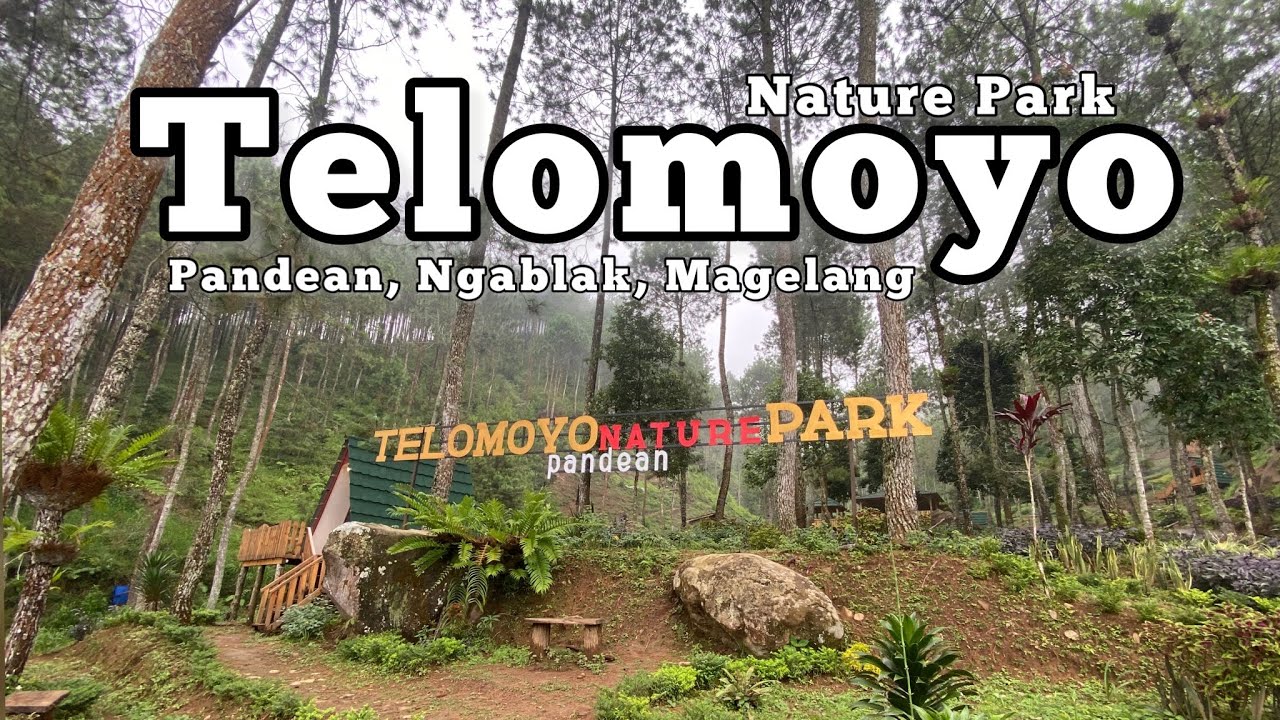 Telomoyo Nature Park: Keindahan Alam Jawa Tengah